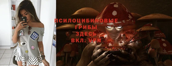 соль курить ск Новодвинск