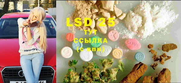таблы Новозыбков