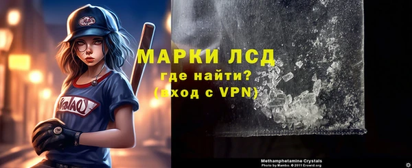 таблы Новозыбков